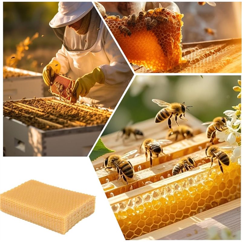 AT43-DIY Craft For Candle Maki - Candle Supplies Beeswax 리뷰 및 가격
