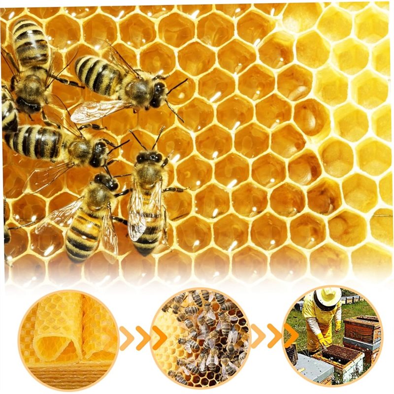 AT43-DIY Craft For Candle Maki - Candle Supplies Beeswax 리뷰 및 가격