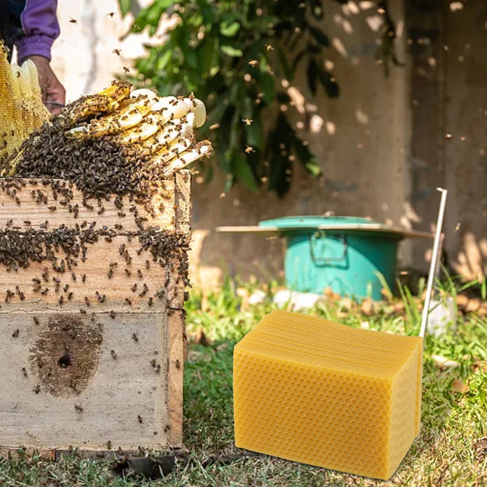 Beeswax Sheets for Beehive Fou - Candle Supplies Beeswax 리뷰 및 가격